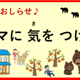 【お知（し）らせ】クマに 気(き)を つけてください‼